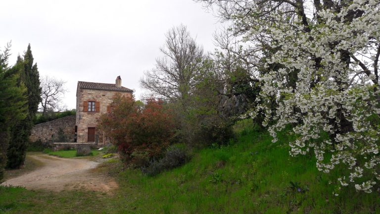 Le gite dans son écrin de nature. Sur le circuit du sentier des dunes de Maraval.