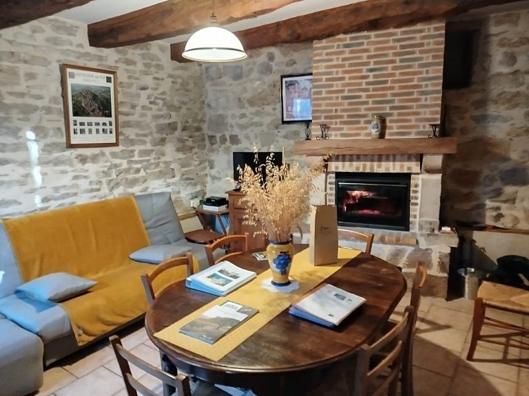 Salon chaleureux et confortable avec cheminée, décor authentique.