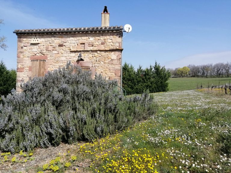 Magnifique romarin entourant la terrasse de l'étage. Quiétude des lieux.