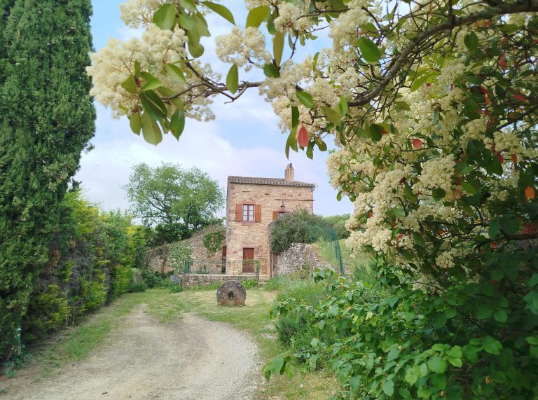 Gite rural 3 épis dans un ancien pigeonnier réhabilité en hébergement de qualité à la campagne.